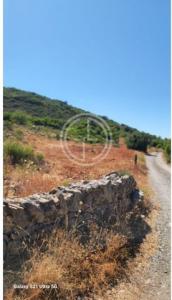 Acheter Terrain 8440 m2 Faro