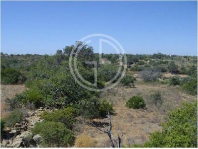 Acheter Terrain 230 m2 Olhao