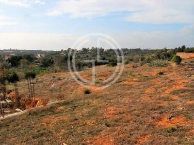 Annonce Vente Terrain Lagoa