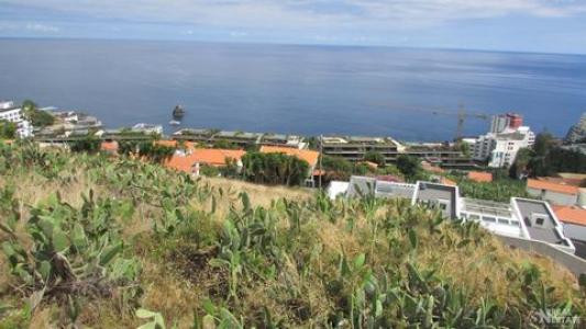 Acheter Terrain Funchal rgion MADEIRA