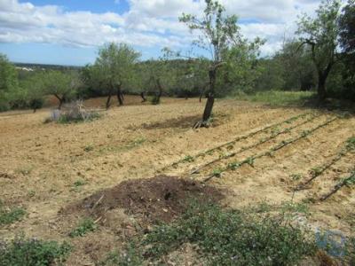 Annonce Vente Terrain Loule