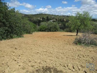 Acheter Terrain 2200 m2 Loule