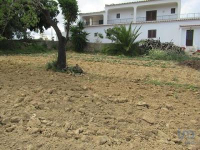 Acheter Terrain Loule rgion FARO