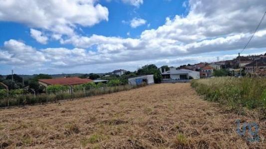 Annonce Vente Terrain Batalha