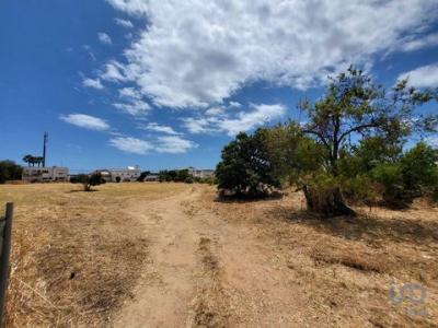 Acheter Terrain Tavira rgion FARO