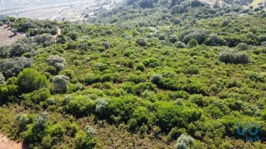 Vente Terrain Santarem ALMOSTER 14 au Portugal