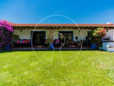 Vente Maison Reguengos-de-monsaraz MONSARAZ 07 au Portugal