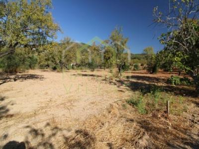 Acheter Terrain 49 m2 Faro