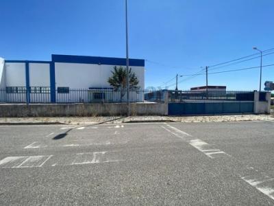 Louer Local commercial 1287 m2 Montijo