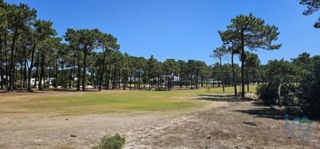 Vente Terrain Aroeira CHARNECA-DE-CAPARICA-E-SOBREDA 15 au Portugal