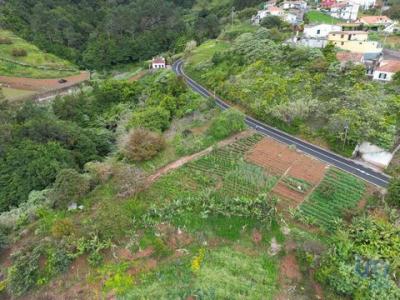 Acheter Terrain Santana rgion MADEIRA