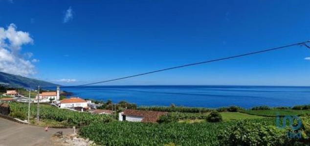 Acheter Maison Lajes-do-pico rgion ACORES