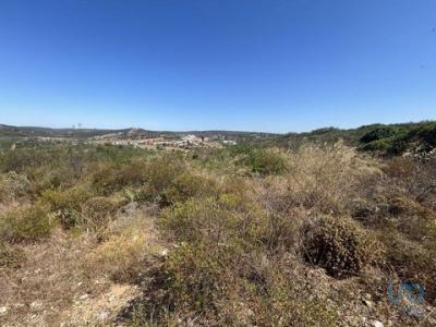 Annonce Vente Terrain Vila-do-bispo