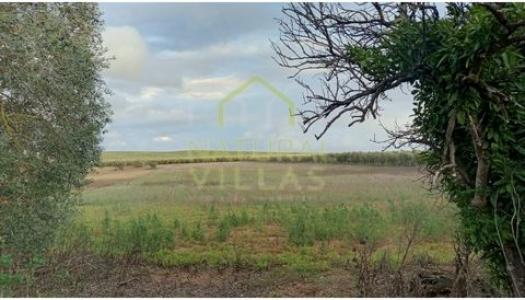 Acheter Terrain 56 m2 Ferreira-do-alentejo