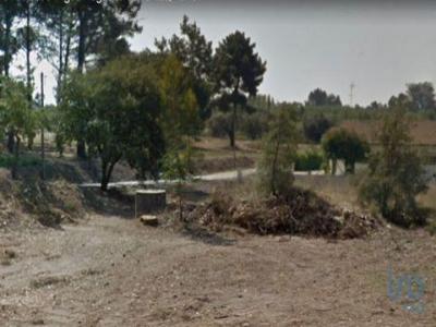 Annonce Vente Terrain Leiria