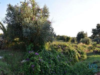 Annonce Vente Terrain Ferreira-do-zezere