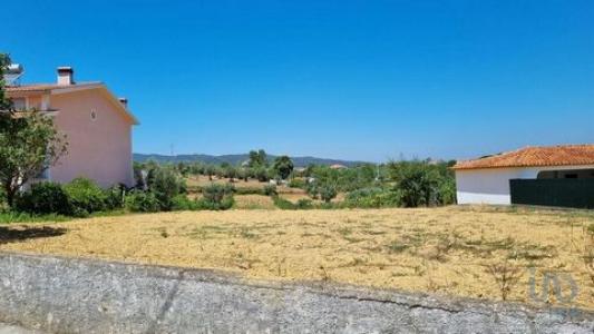 Vente Terrain Vila-nova-de-poiares POIARES-(SANTO-ANDRA) 06 au Portugal