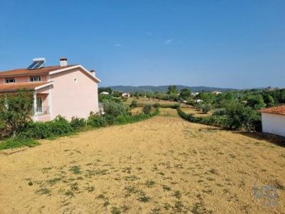 Annonce Vente Terrain Vila-nova-de-poiares