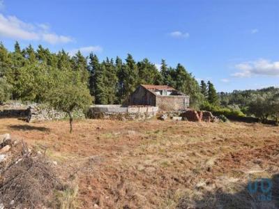 Vente Terrain Condeixa-a-nova CONDEIXA-A-VELHA-E-CONDEIXA-A-NOVA 06 au Portugal