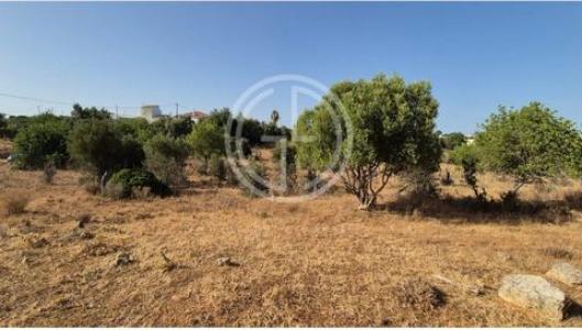 Acheter Terrain 1052 m2 Faro