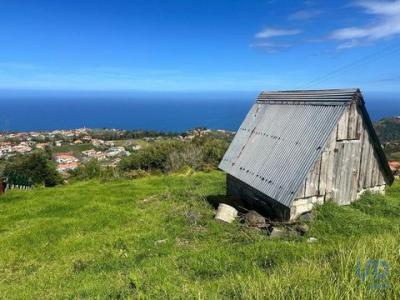 Acheter Terrain Santana rgion MADEIRA