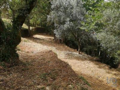 Annonce Vente Terrain Pedrogao-grande