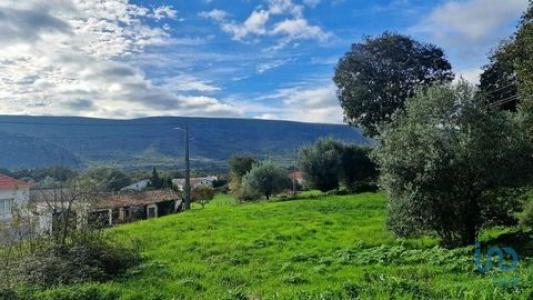 Annonce Vente Terrain Porto-de-mos