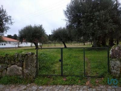 Annonce Vente Terrain Celorico-da-beira