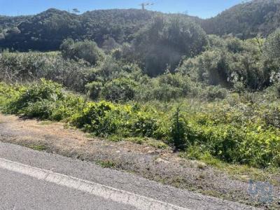 Annonce Vente Terrain Mafra