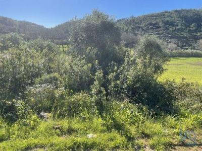 Acheter Terrain 750 m2 Mafra