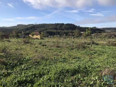 Annonce Vente Terrain Ferreira-do-zezere