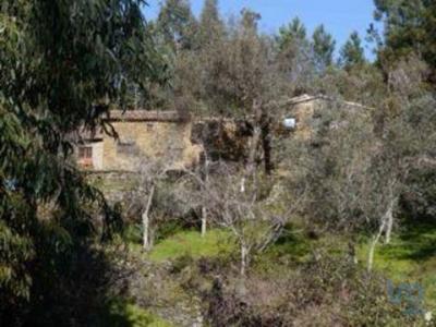 Vente Maison Serta PEDRAGAO-PEQUENO 05 au Portugal