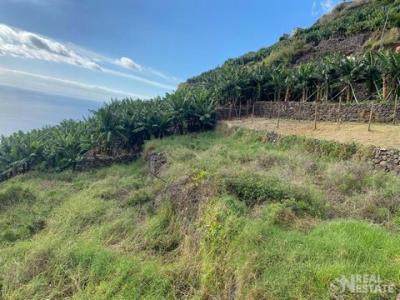 Acheter Terrain 1025 m2 Calheta