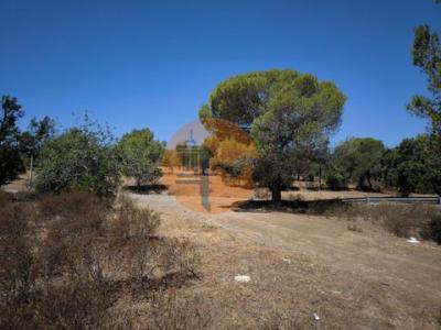 Annonce Vente Terrain Castro-marim