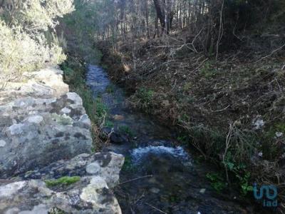 Vente Maison Castanheira-de-pera CASTANHEIRA-DE-PARA-E-COENTRAL 10 au Portugal