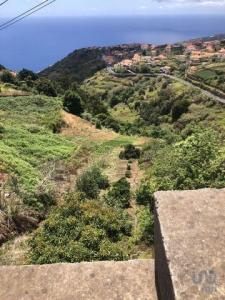 Annonce Vente Maison Arco-da-calheta