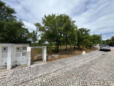 Annonce Vente Terrain Casal-do-sapo