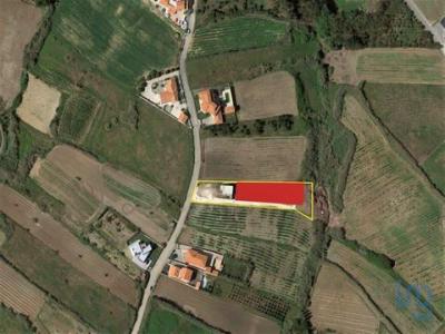 Acheter Terrain 494 m2 Lourinha