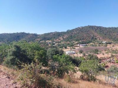 Acheter Terrain 3702 m2 Loule