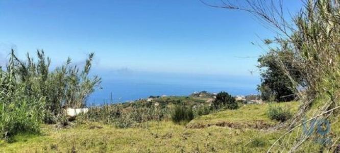 Annonce Vente Terrain Ponta-do-sol