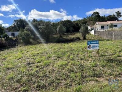 Annonce Vente Terrain Porto-de-mos