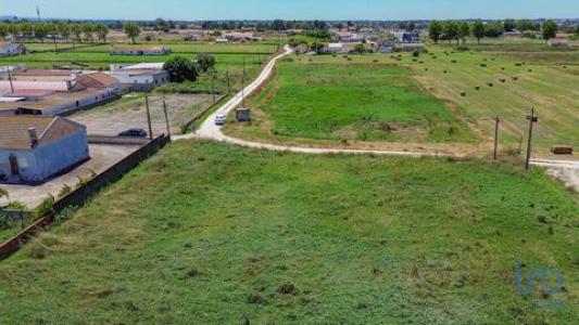 Vente Terrain Montijo MONTIJO-E-AFONSOEIRO 15 au Portugal