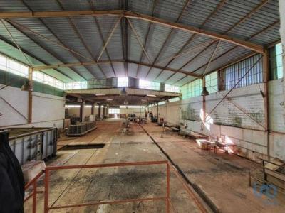 Acheter Local industriel 4569 m2 Tavira