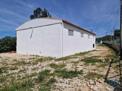 Vente Local commercial Porto-de-mos PEDREIRAS 10 au Portugal