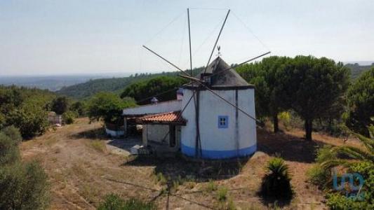 Acheter Terrain Abra rgion SANTAREM