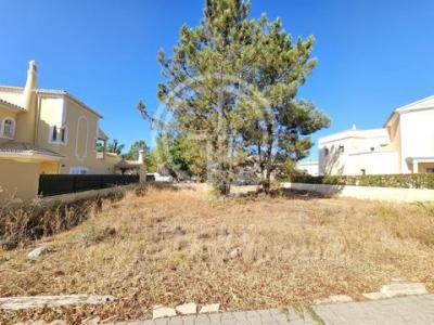 Annonce Vente Terrain Loule