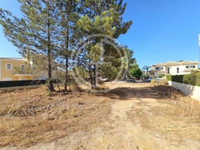 Acheter Terrain 720 m2 Loule