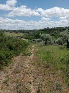 Acheter Terrain Santarem rgion SANTAREM