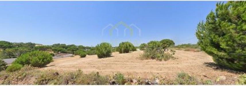 Annonce Vente Terrain Loule