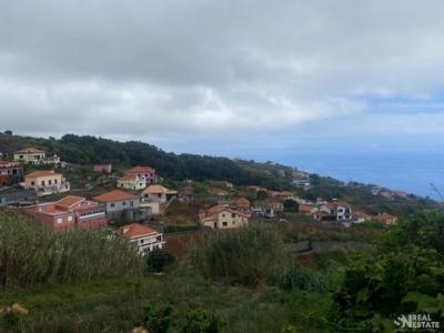 Acheter Maison Ponta-do-sol rgion MADEIRA